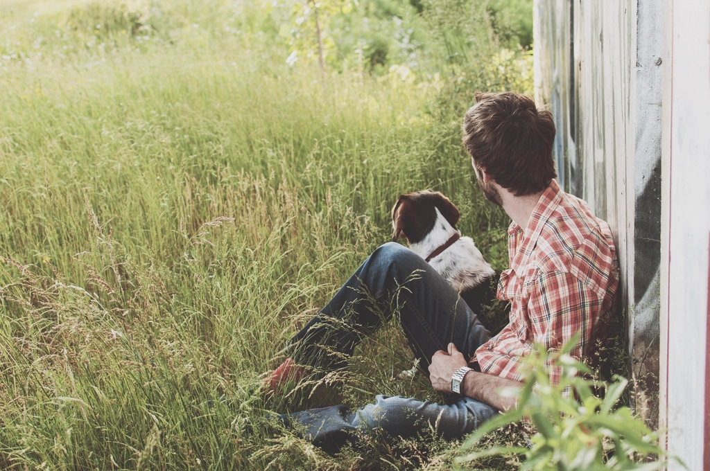They Stay Close Without Demanding Attention (image credits: rawpixel)