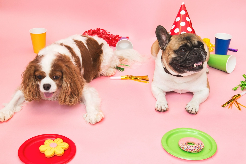 Celebrating Small Achievements Together (image credits: rawpixel)
