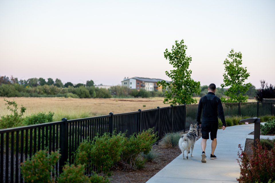 Go on More Walks (and Let Them Lead Sometimes) (image credits: stocksnap)