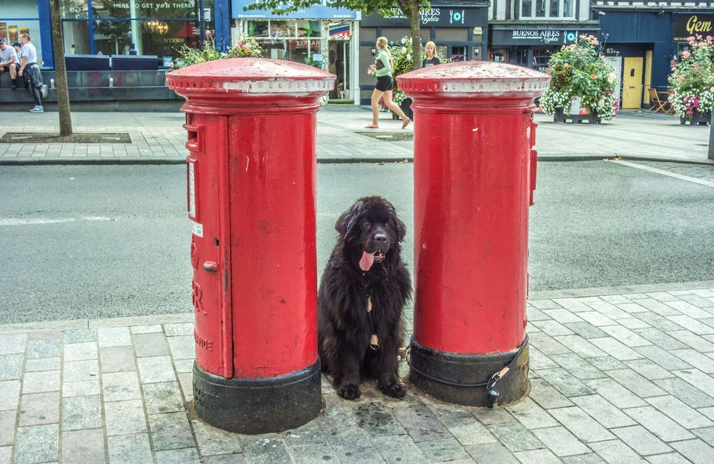 The Ritual of Arrival: Predictability Breeds Excitement (image credits: rawpixel)