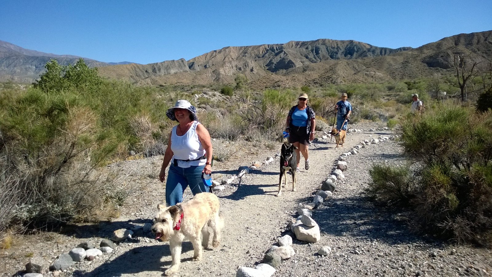 Organize Doggie Playdates with Fellow Trailblazers (image credits: wikimedia)