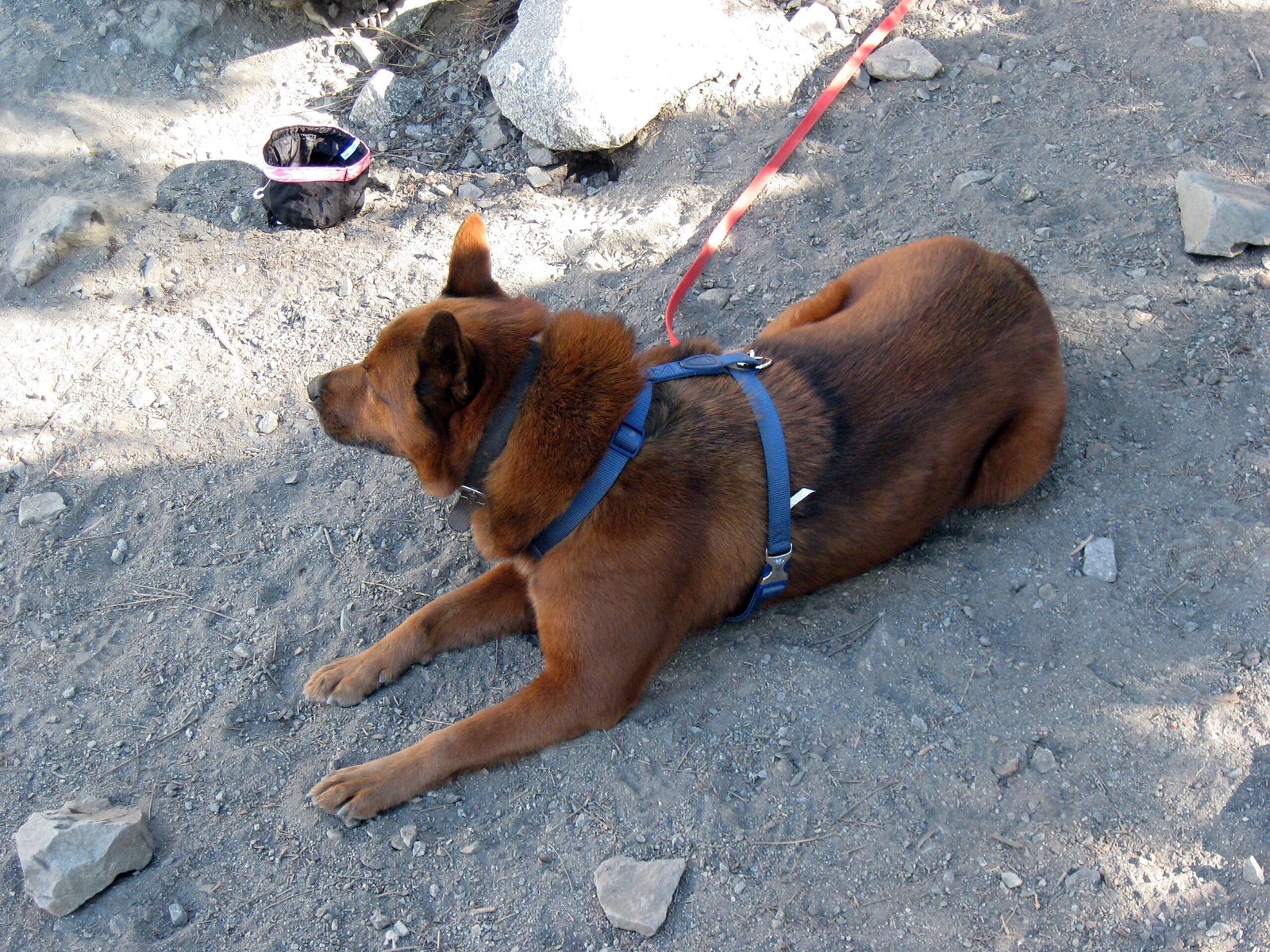 Choose Gear That Supports Adventure (image credits: wikimedia)