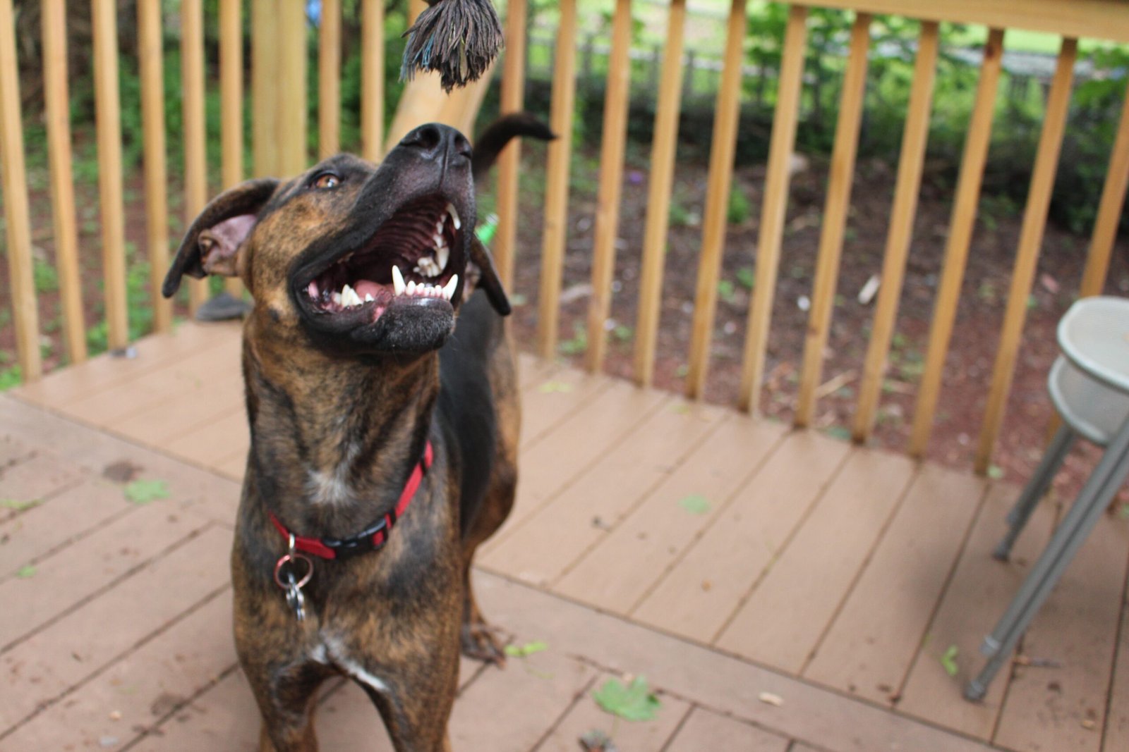 Reliving Your Own Youth Through Their Eyes (image credits: wikimedia)