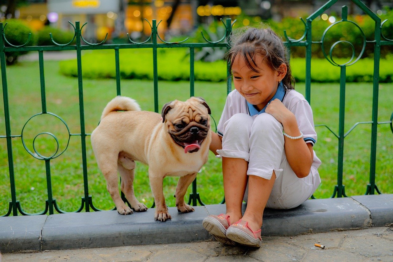 Compatibility with Children and Other Pets (image credits: pixabay)
