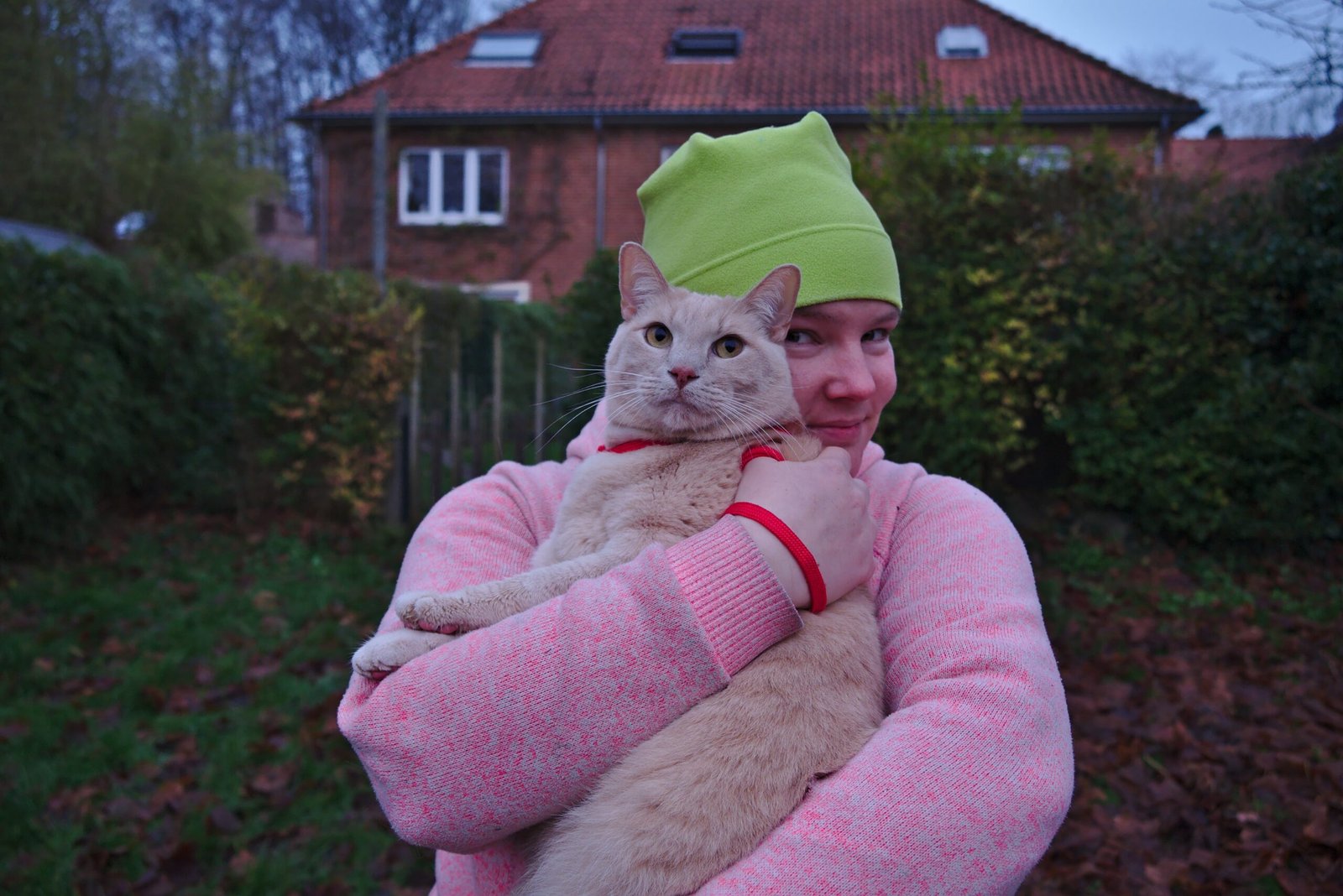 Emotional Needs: Comfort, Company, and Calm (image credits: wikimedia)