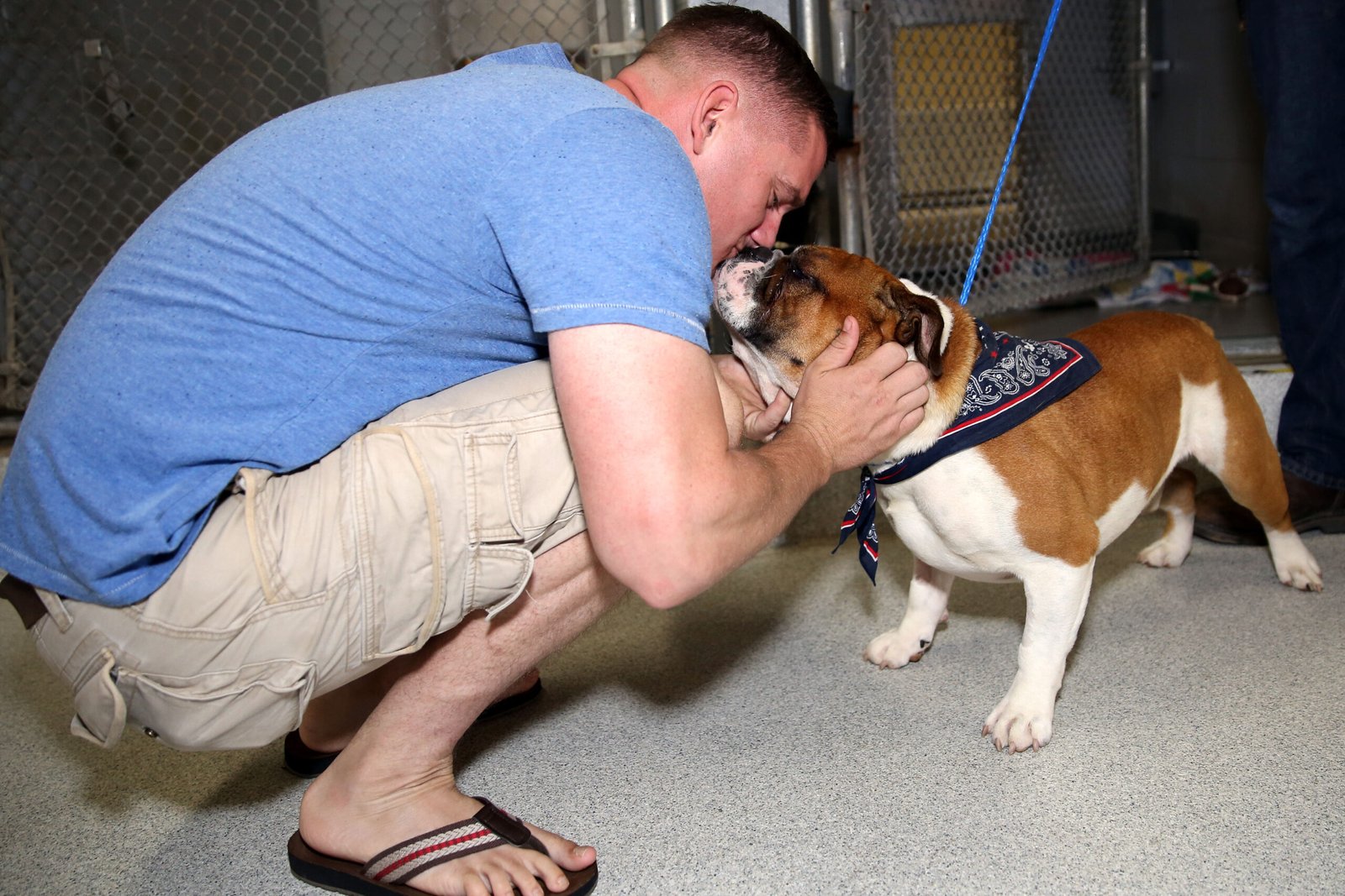 Adopting, Not Shopping (image credits: wikimedia)