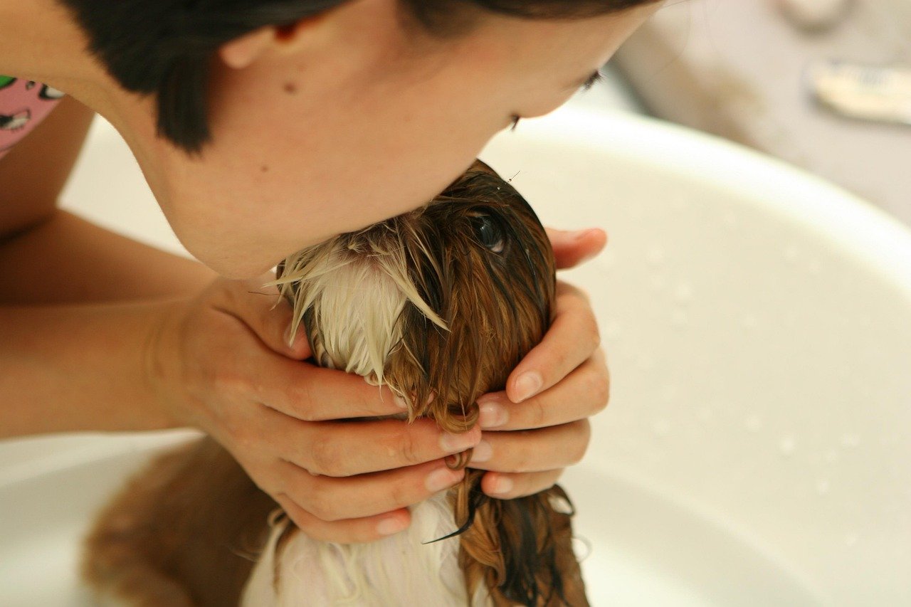 Pick Eco-Friendly Grooming Products (image credits: pixabay)