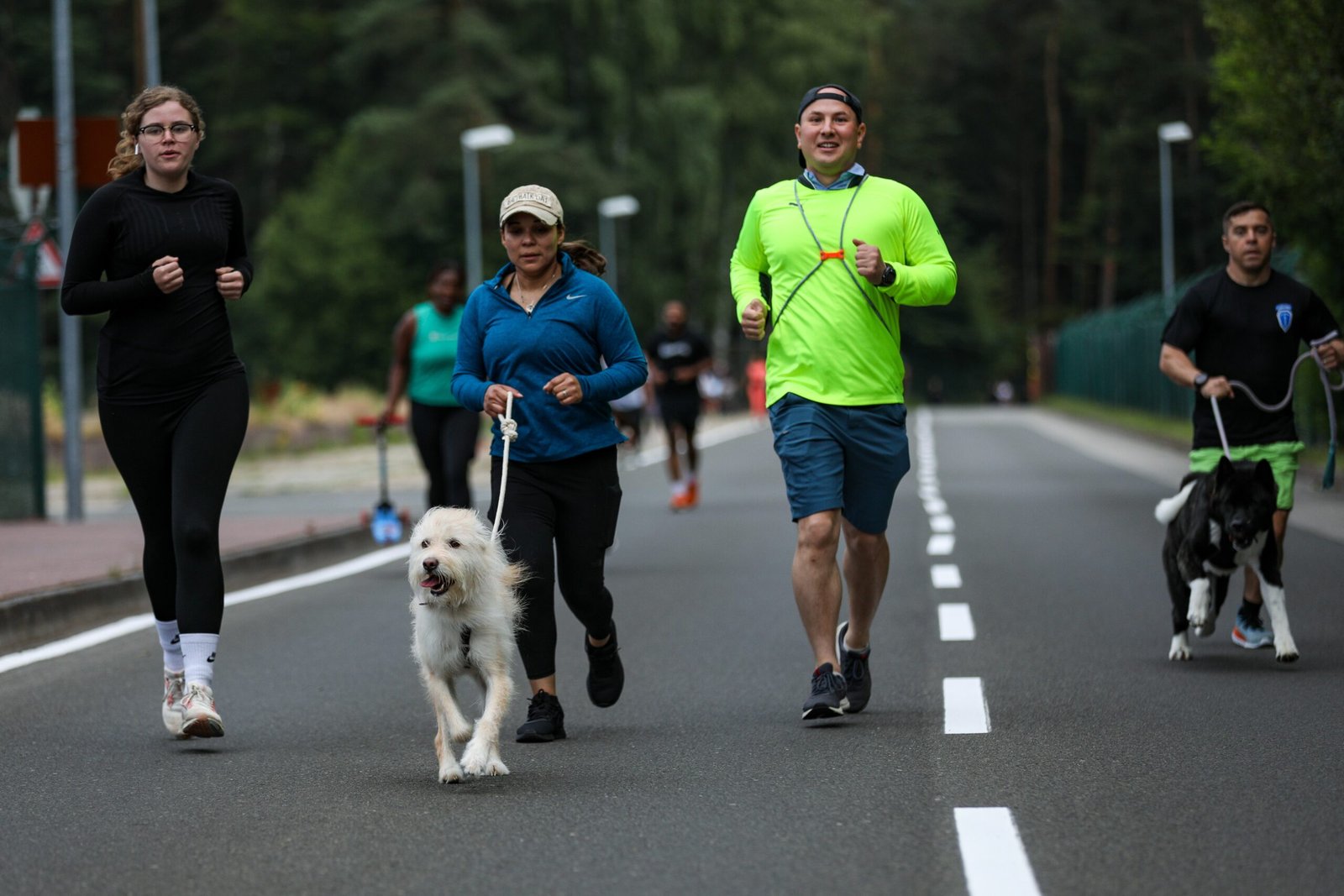 Support Eco-Conscious Brands and Initiatives (image credits: wikimedia)