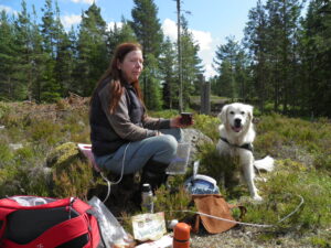 15 Dog Breeds That Love Nature Trails and Forest Walks