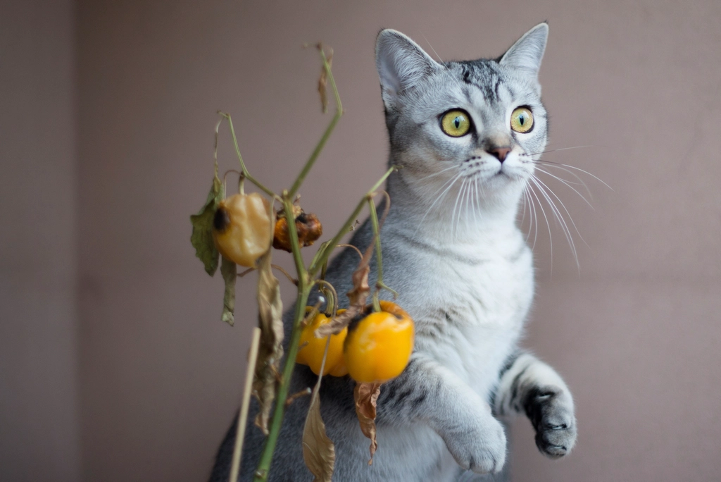 Playfulness and Curiosity (image credits: rawpixel)