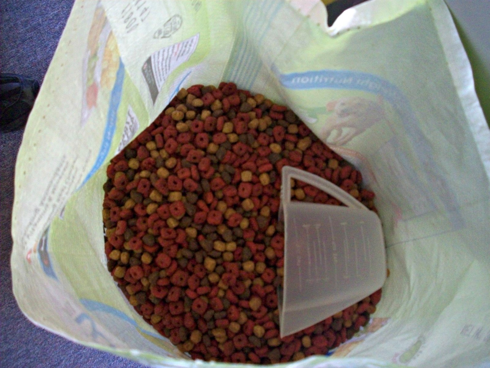 Choose Eco-Friendly Dog Food (image credits: wikimedia)