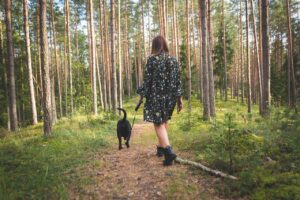 Green Homes, Happy Tails: 10 Earth-Loving Habits For Dog Owners