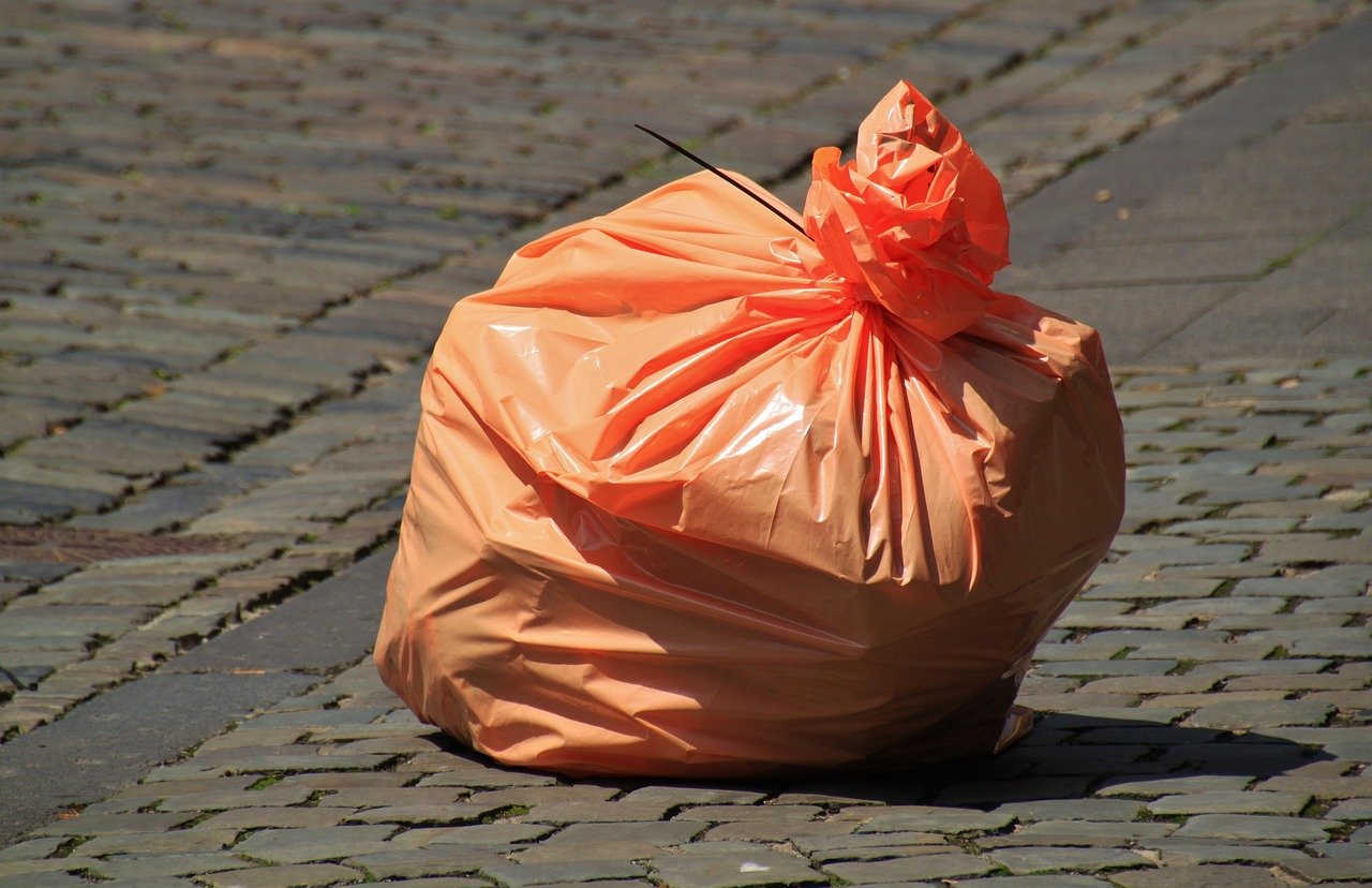 Biodegradable Poop Bags: Small Change, Big Impact (image credits: pixabay)