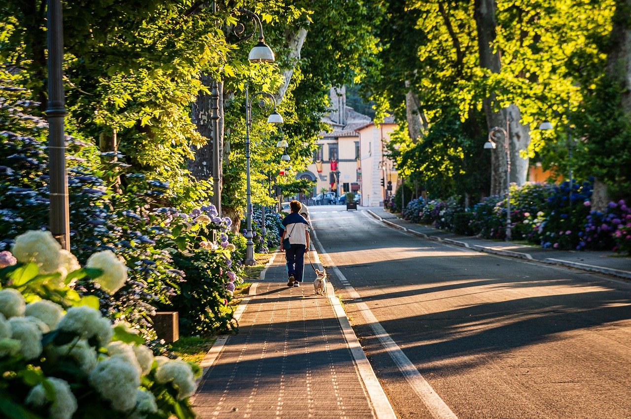 Dog Walks That Help the Planet (image credits: pixabay)