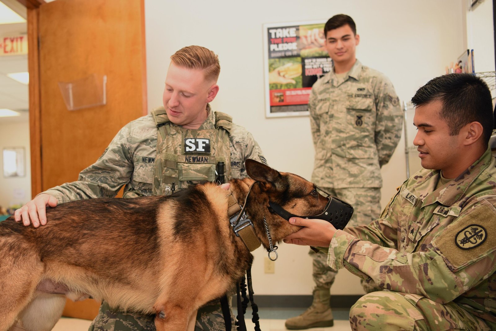 Keeping Up With Vet Visits and Health Checks (image credits: wikimedia)