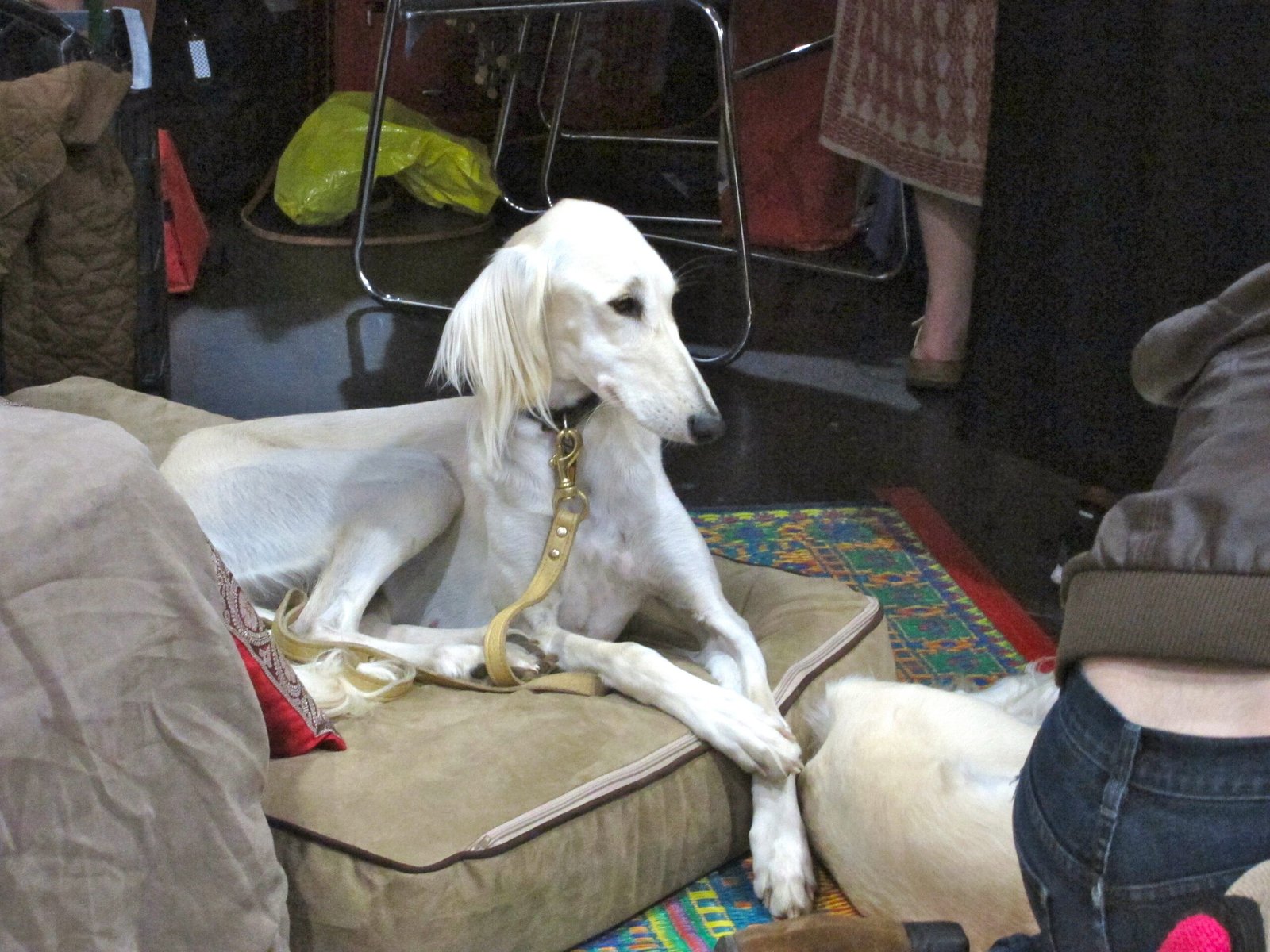 Reluctance to Accept Physical Affection (image credits: wikimedia)