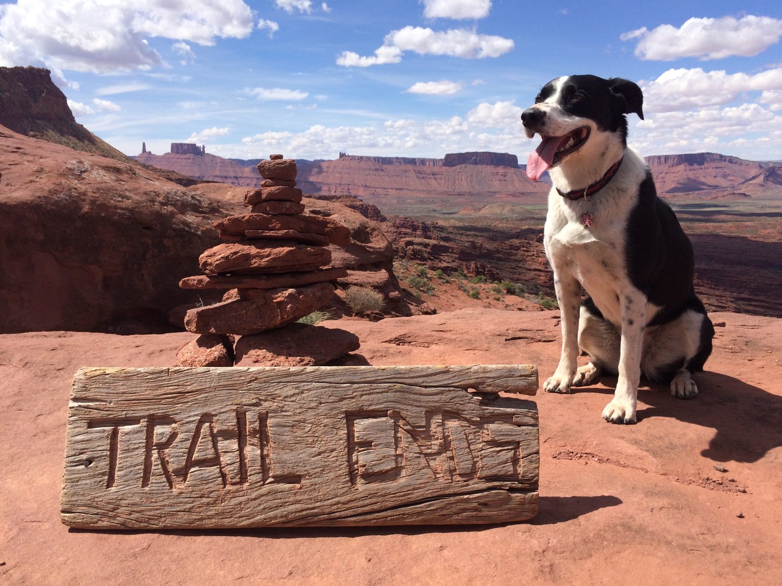 Fostering a Deeper Connection to Nature (image credits: wikimedia)