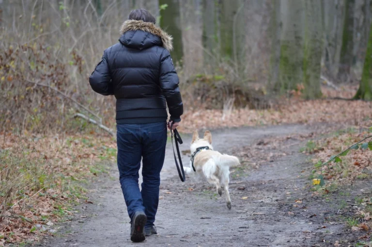 How Every Senior Can Benefit From Keeping The Right Dog