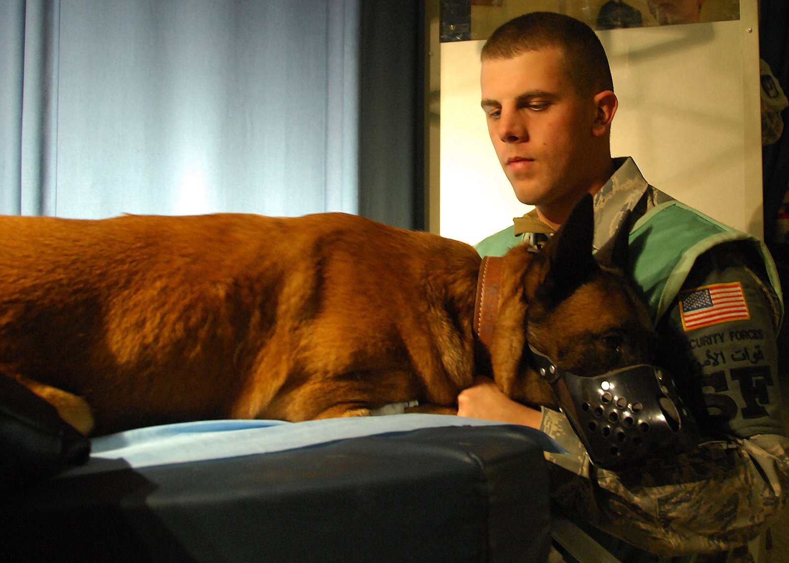 Offering Comfort Through Touch and Voice (image credits: wikimedia)