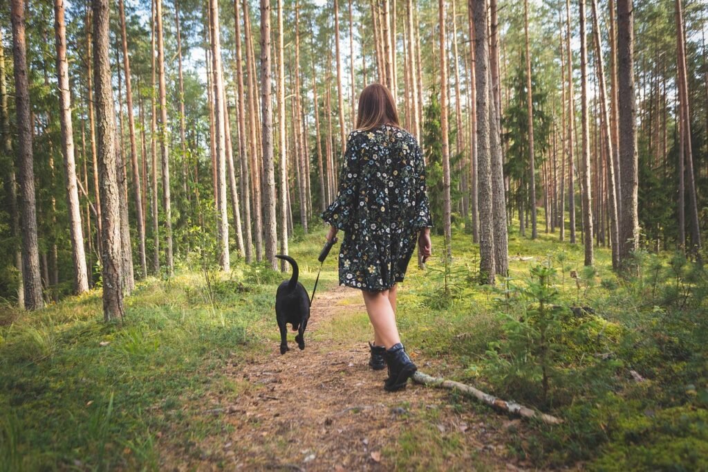 Walking Dogs Opens Your Eyes to Nature