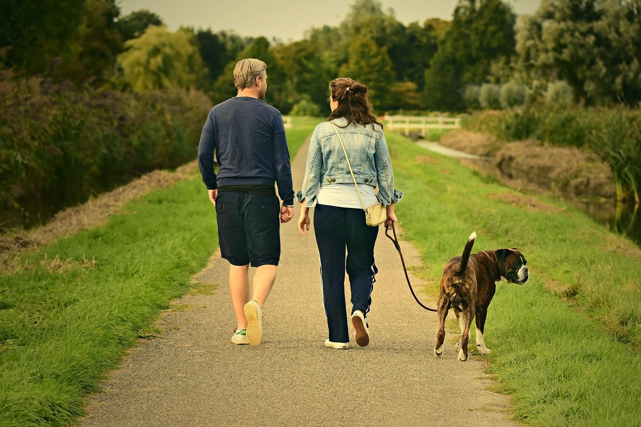 Creating New Memories and Joyful Moments (image credits: pixabay)
