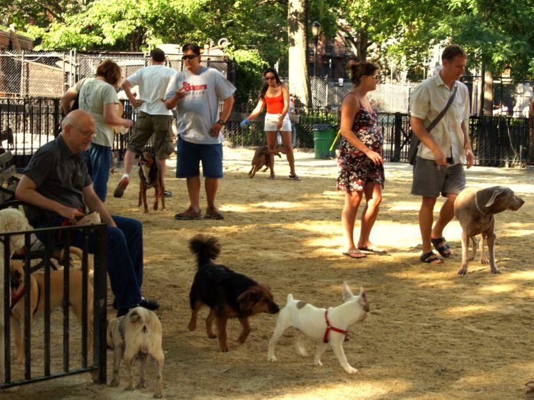 How A Dog's Compassion is the Best Thing Every Lonely Senior Needs
