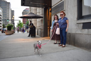 Meet The Smallest Dog According to The AKC Plus See the Other Cute...