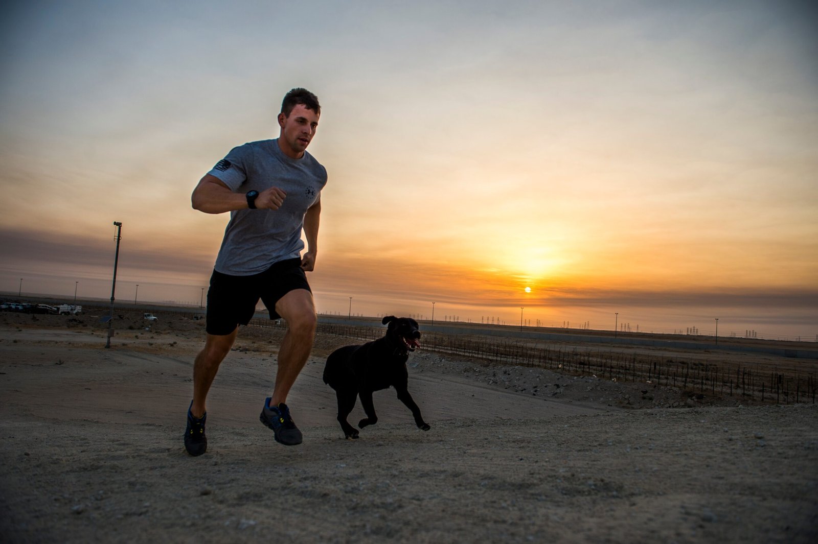 The Morning Routine: Dogs Get It (image credits: wikimedia)