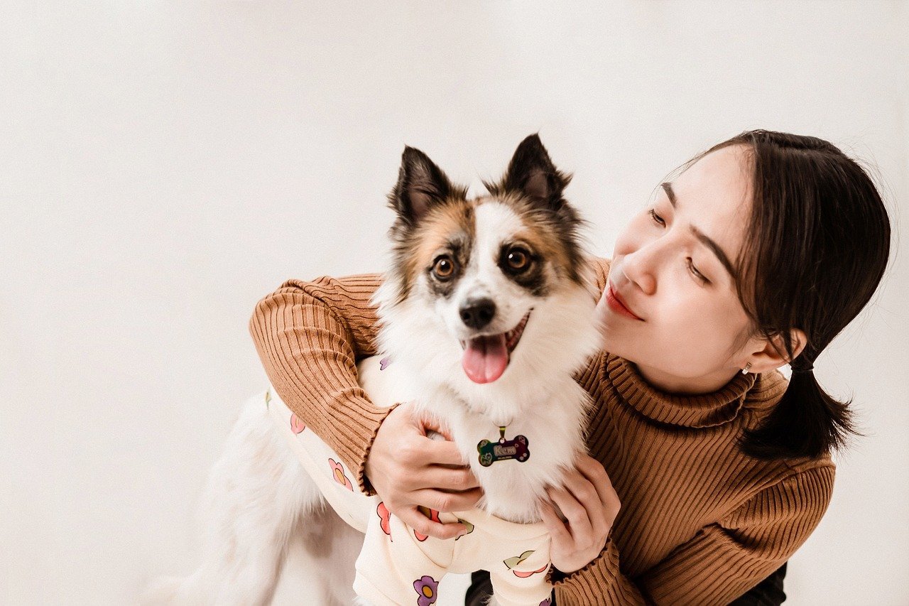 Not All Dogs Like to Be Hugged (image credits: pixabay)