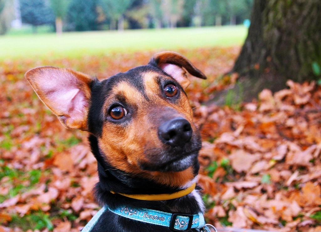 They Find Joy in the Little Things (image credits: rawpixel)