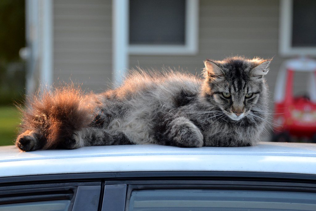 When to Seek Professional Help (image credits: flickr)