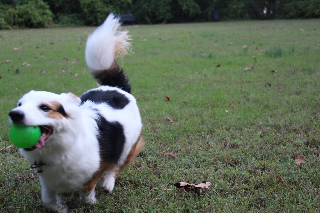 The Energy Levels I Didn’t Expect (image credits: flickr)