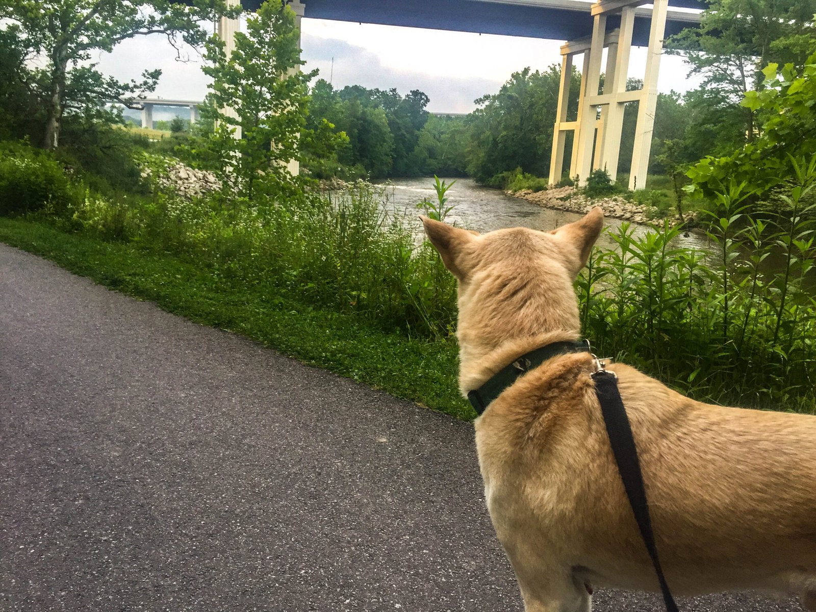 Cuyahoga Valley National Park, Ohio (image credits: wikimedia)
