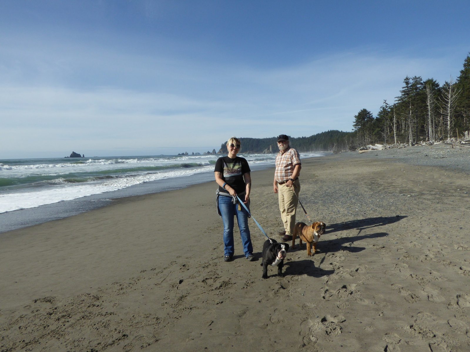 Olympic National Park, Washington (image credits: wikimedia)