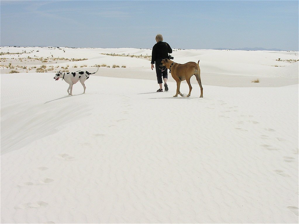 White Sands National Park, New Mexico (image credits: flickr)