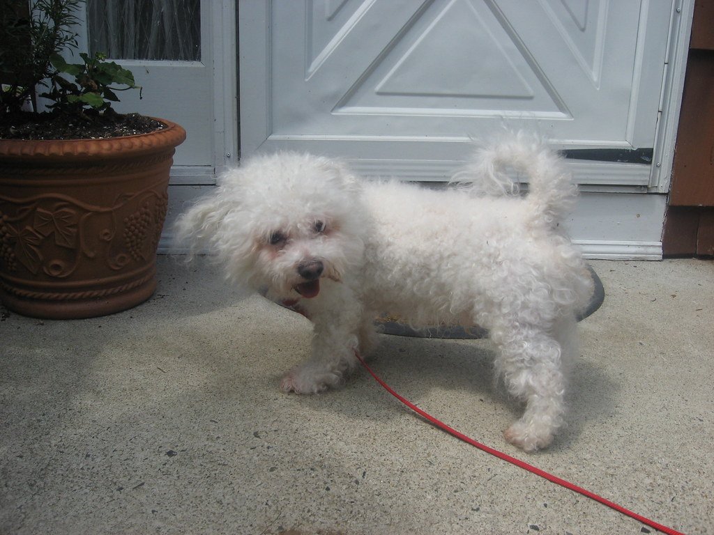 Past Experiences: History Shapes Habits (image credits: flickr)