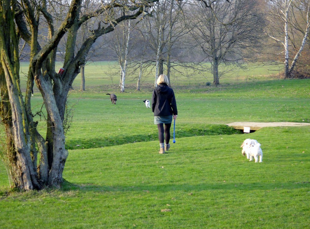 The Illusion of Safety: What We Don’t See (image credits: flickr)