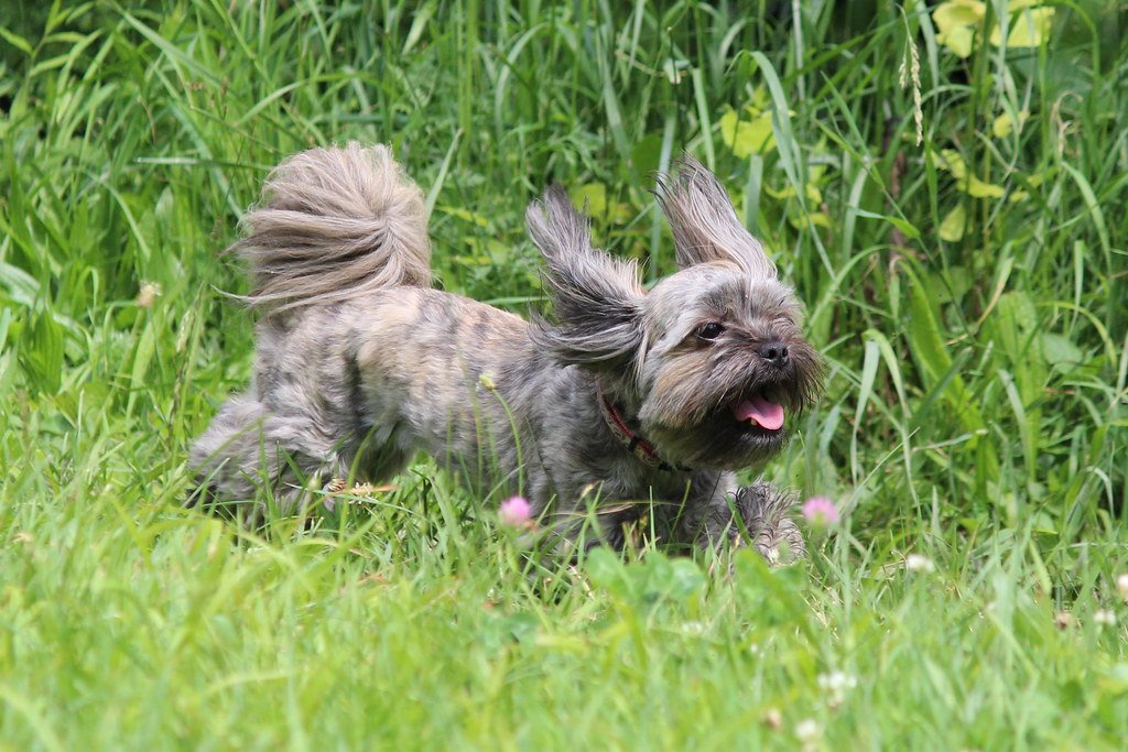 Overstimulation and Anxiety: Too Much of a Good Thing (image credits: flickr)