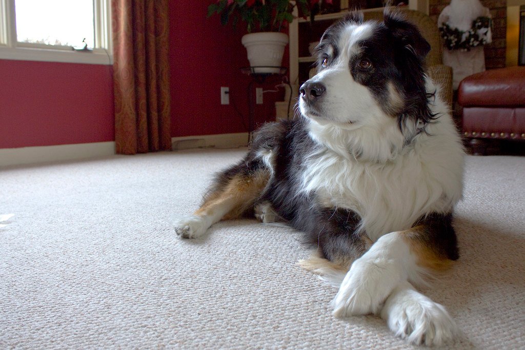 Your Home Environment Transforms (image credits: flickr)