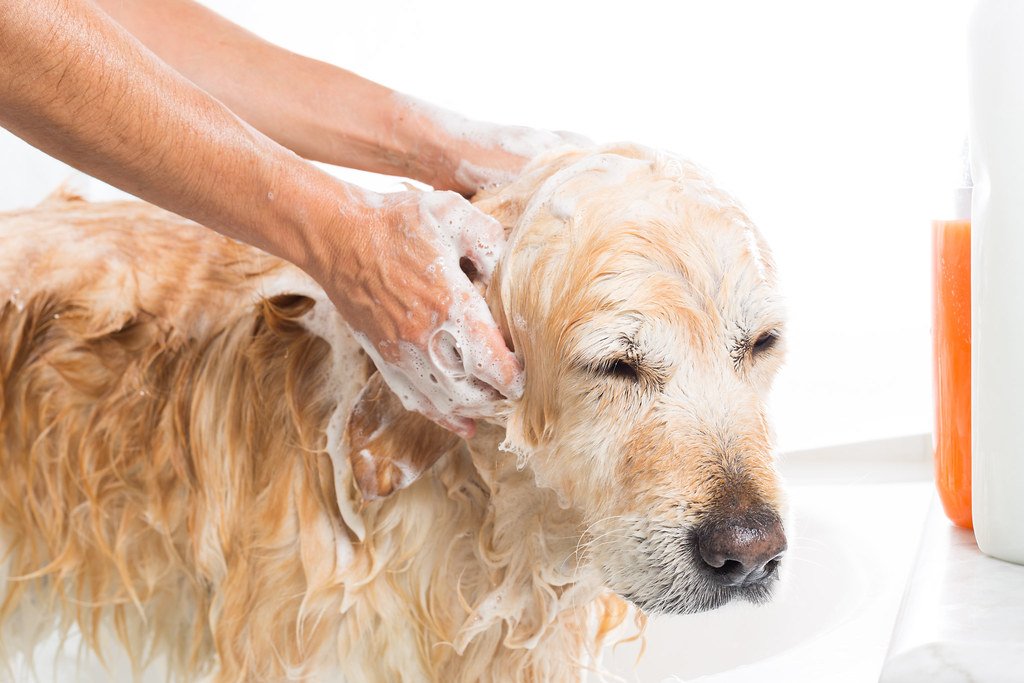 Minimize Grooming Product Waste (image credits: flickr)