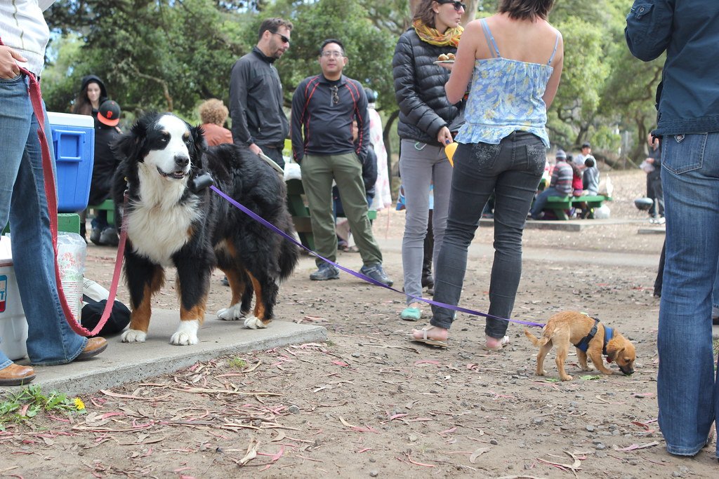 The Community of Crazy Early Birds (image credits: flickr)