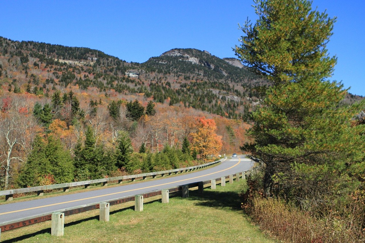 Shenandoah National Park - Virginia's Dog-Friendly Mountain Escape (image credits: pixabay)