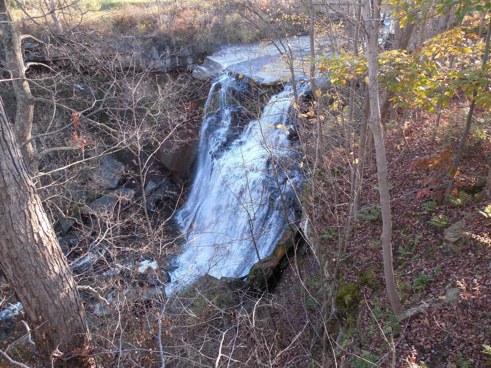 Cuyahoga Valley National Park - Ohio's Urban Oasis (image credits: wikimedia)