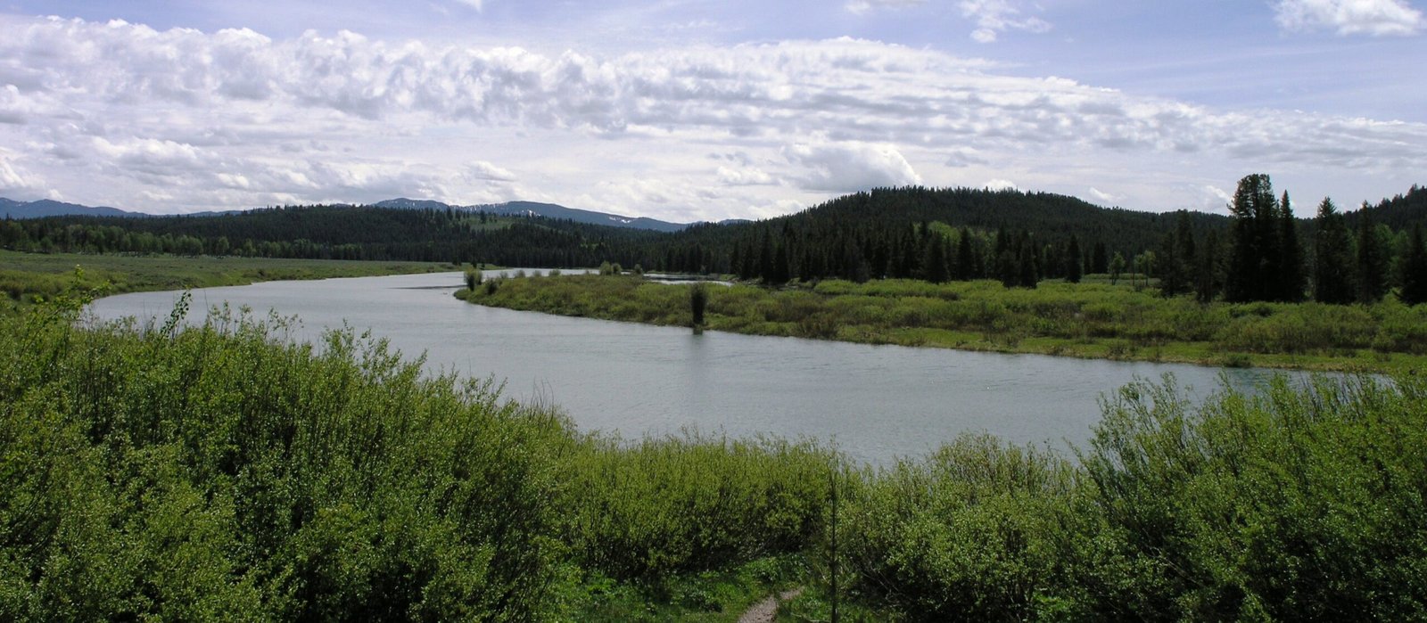 Jackson Hole, Wyoming - Wild West Adventure for Adventurous Dogs (image credits: wikimedia)