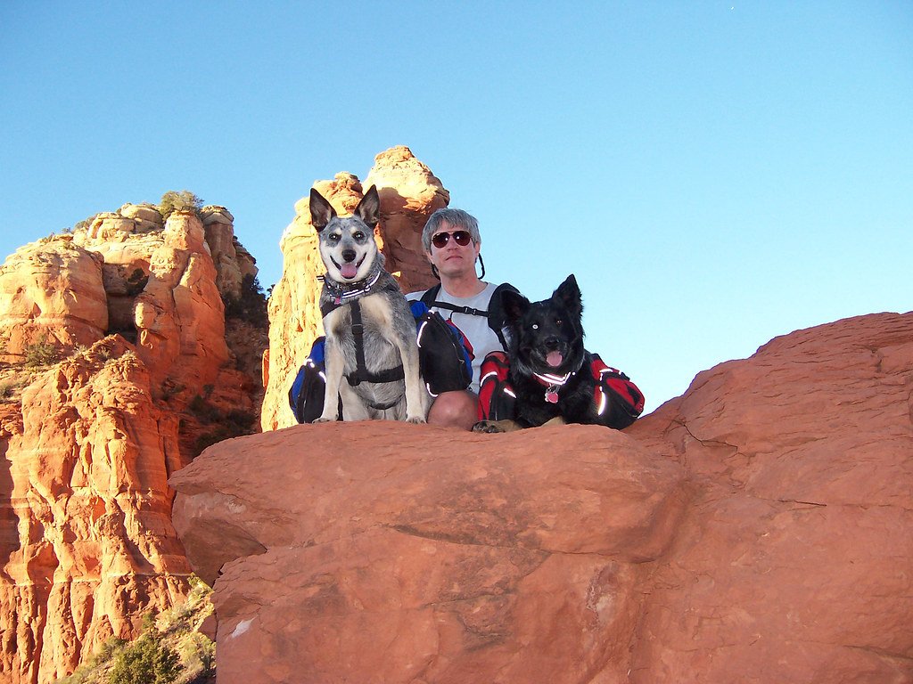 The 15 Best Vacation Destinations Where You Can Take Your Dog