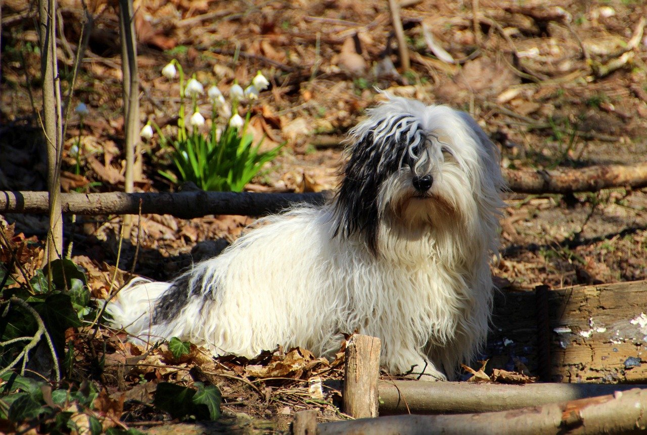 The Hidden Health Hazards Lurking in Every Pile (image credits: pixabay)