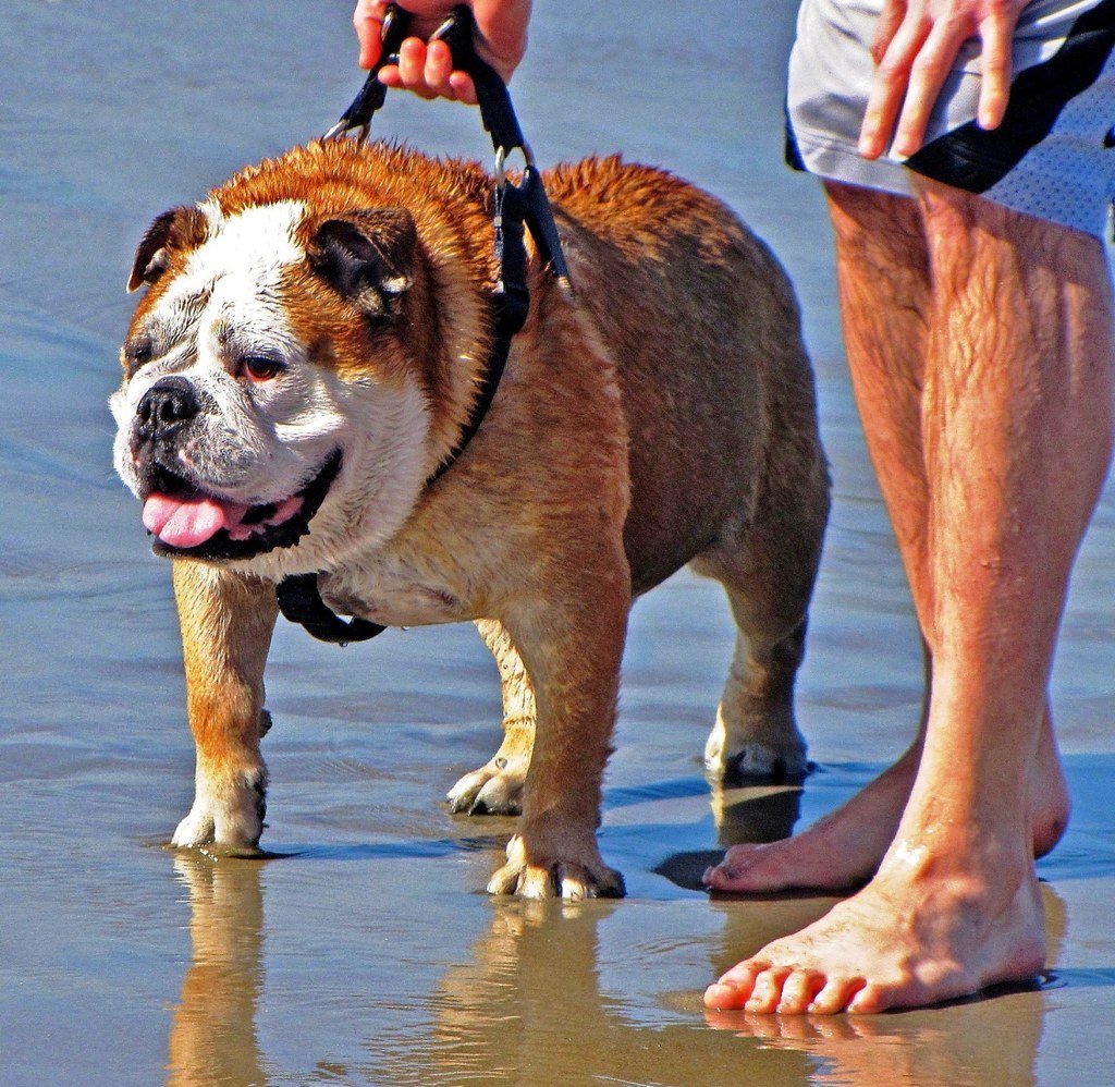 Taking Action: Your Environmental Impact Starts Today (image credits: flickr)