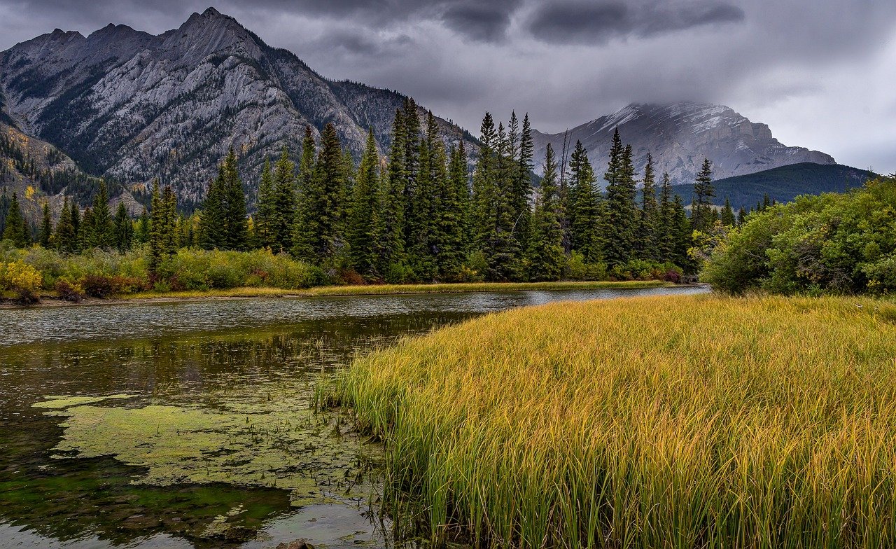 Rocky Mountain National Park - (image credits: pixabay)
