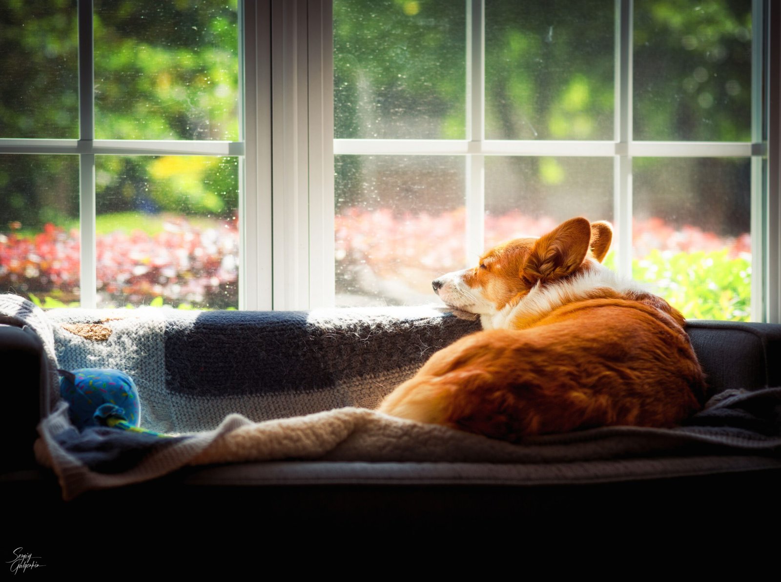 Seeking Comfort in Your Favorite Spots (image credits: wikimedia)