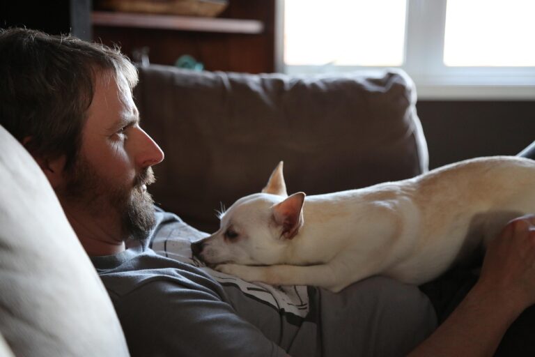 Why Chihuahuas Choose One Person—and Stick for Life